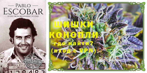 стаф Снежногорск