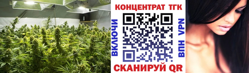 ТГК концентрат  Ермолино 